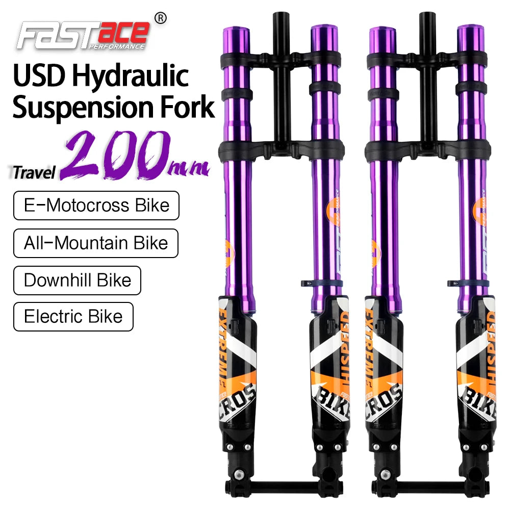 FASTACE ALX13RC 2.0 50/60IBS Ebike Fork