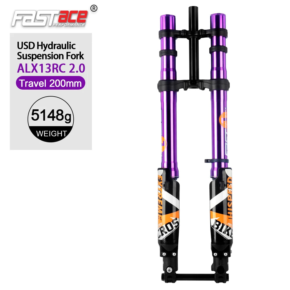 FASTACE ALX13RC 2.0 50/60IBS Ebike Fork